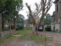 Archivo: beccar_5.jpg
Tamaño: 54KB
Dimensiones: 640x480
Fecha de alta: 15 de Dic de 2004 beccar_5.jpg